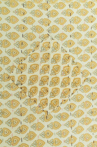 Believe Kantha Throw Blanket
