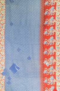 Imaginative Kantha Throw Blanket