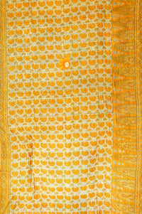 Optimistic Kantha Throw dignify
